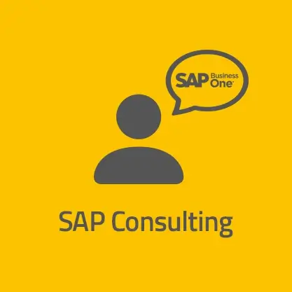 neumeier AG SAP Consulting