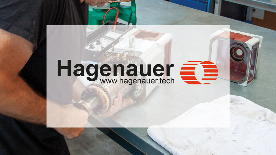 Hagenauer GmbH & Co. KG