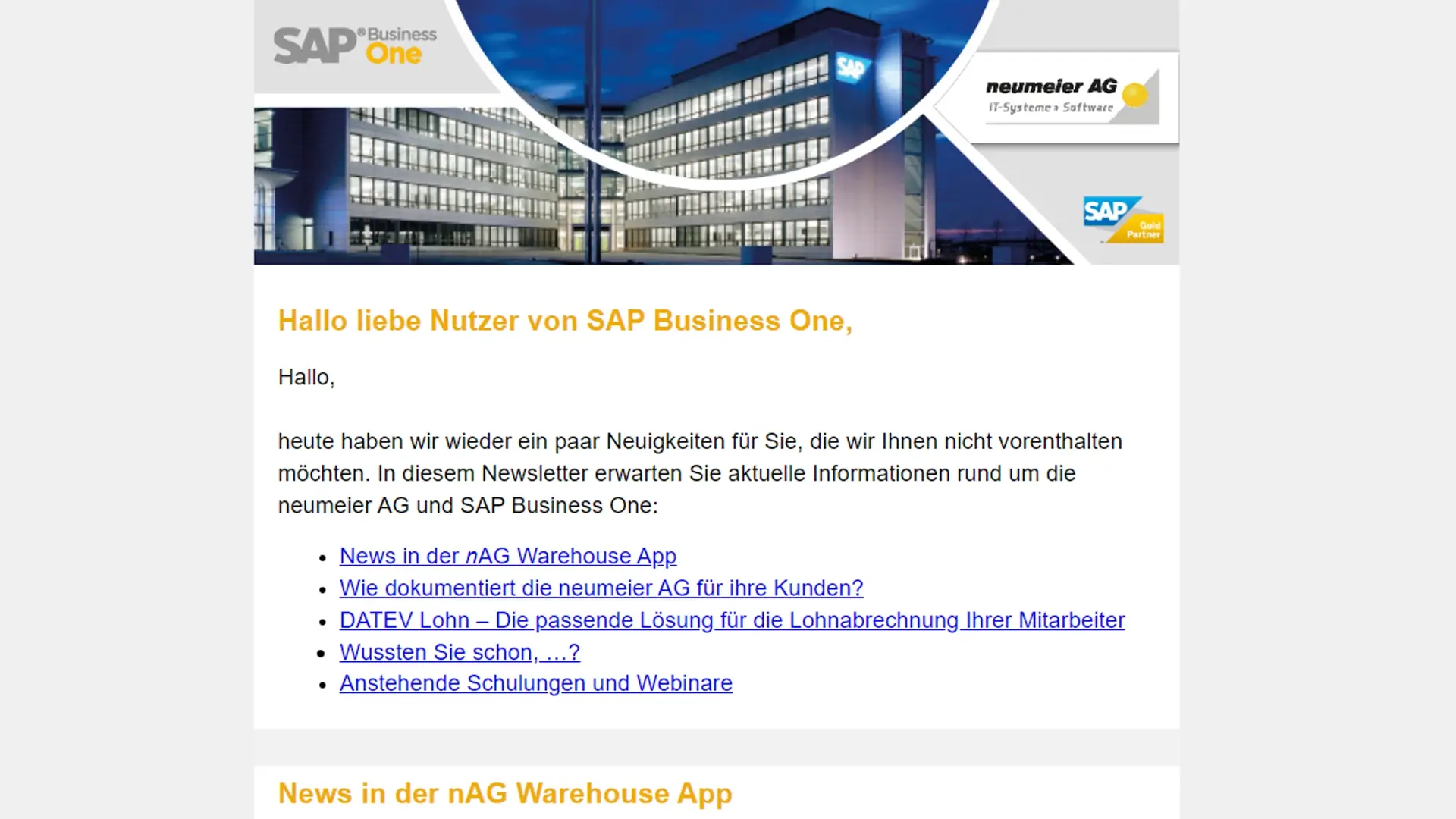 SAP Business One Newsletter neumeier AG