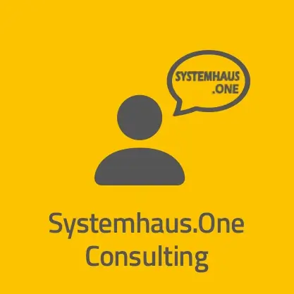 neumeier AG Systemhaus.One Consulting