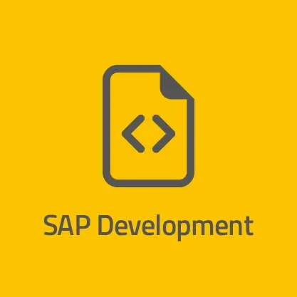 neumeier AG SAP Development