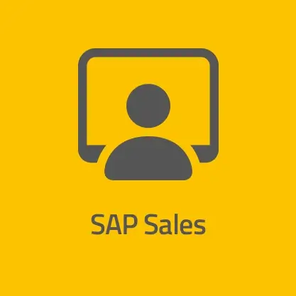 neumeier AG SAP Sales